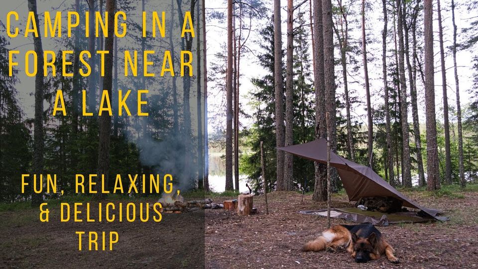 Camping In A Forest Near a Lake: Fun, Relaxing, & Delicious Trip
